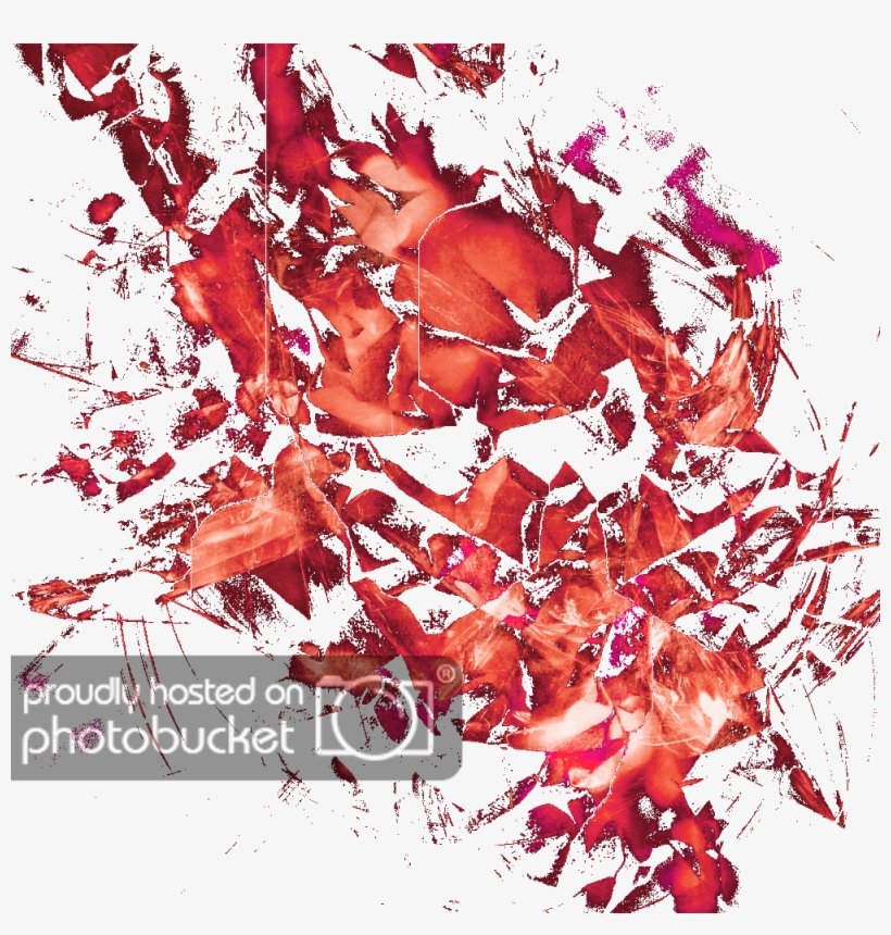 Maple Leaf, transparent png download