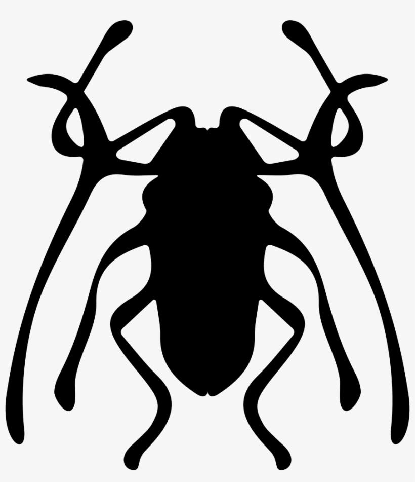 Png File Svg - Weevil, transparent png download