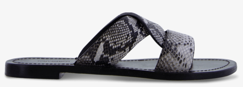 Foxy Natural Snake Default - Flip-flops, transparent png download