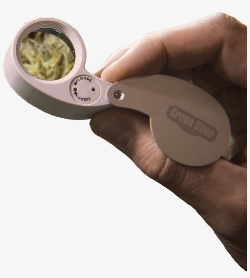 Parallax Layer Parallax Layer - Eggplant, transparent png download