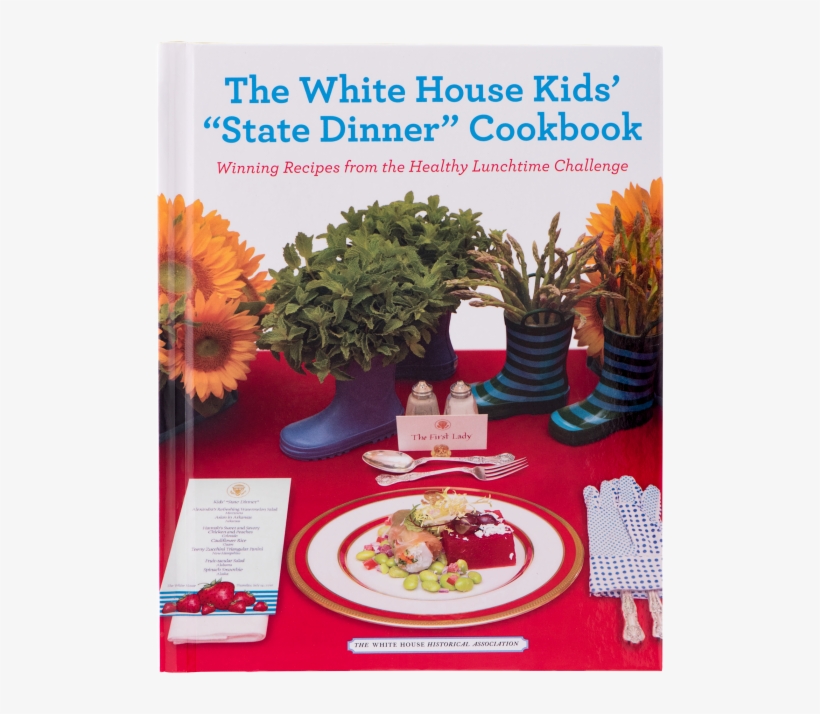 More Views - African Daisy, transparent png download