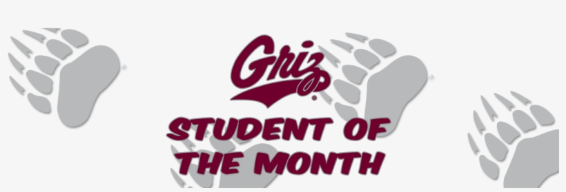 Logo - Montana Grizzlies, transparent png download