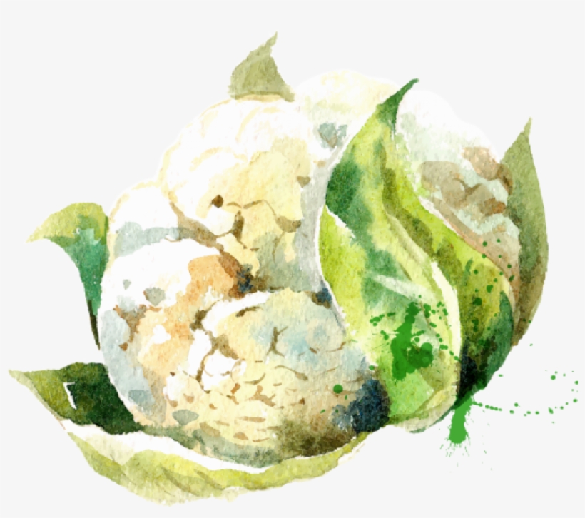 Free Png Download Watercolor Vegetables Stock Vector - Vegetable Watercolor Transparent, transparent png download