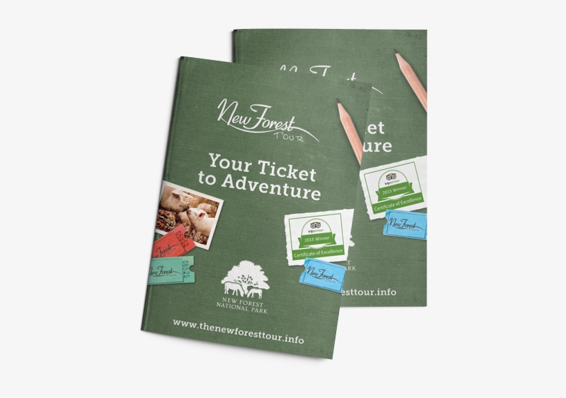 New Forest Tour Guide Design - Christmas Tree, transparent png download