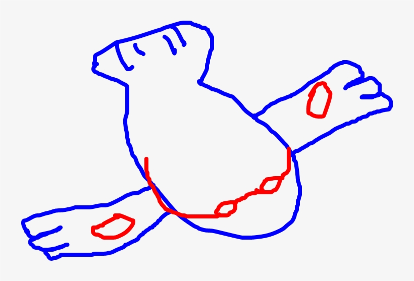 Kyogre - Line Art, transparent png download