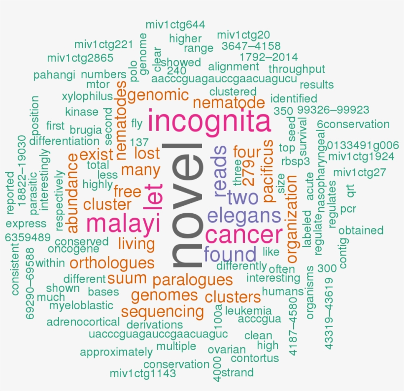 Stem Loop Sequence Asu Mir 100b - Art, transparent png download