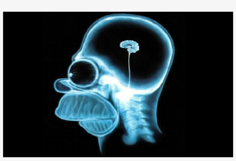 N4ta60k - Skull, transparent png download