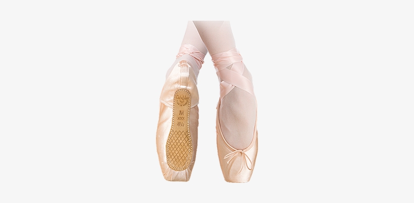 Nova Pointe Shoe - Grishko Adult Nova Pointe Shoe, transparent png download