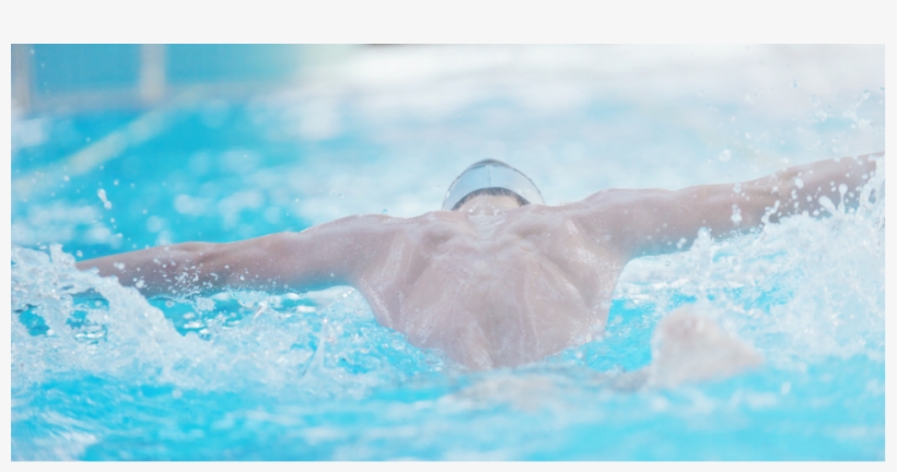 Exclusive Lap Swimming - Butterfly Stroke, transparent png download