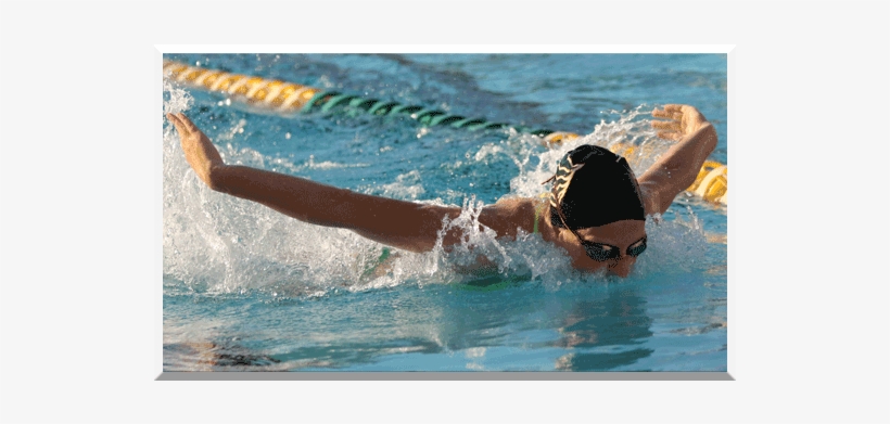 Athlete Of The Week - Medley Swimming, transparent png download