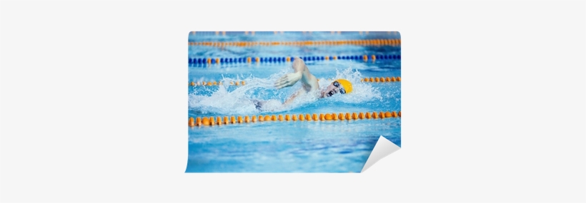 Backstroke, transparent png download