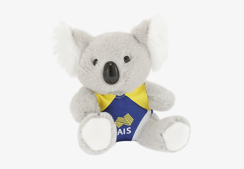 Koala Swimmer - Advanced Info Service, transparent png download