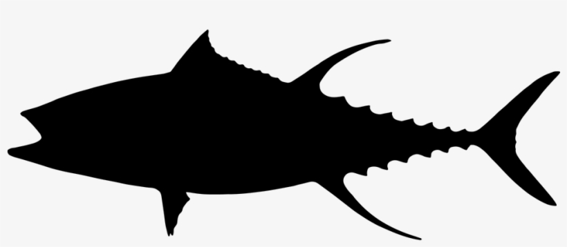 Fish Animal Free Vector Graphic On Pixabay - Tuna Silhouette, transparent png download