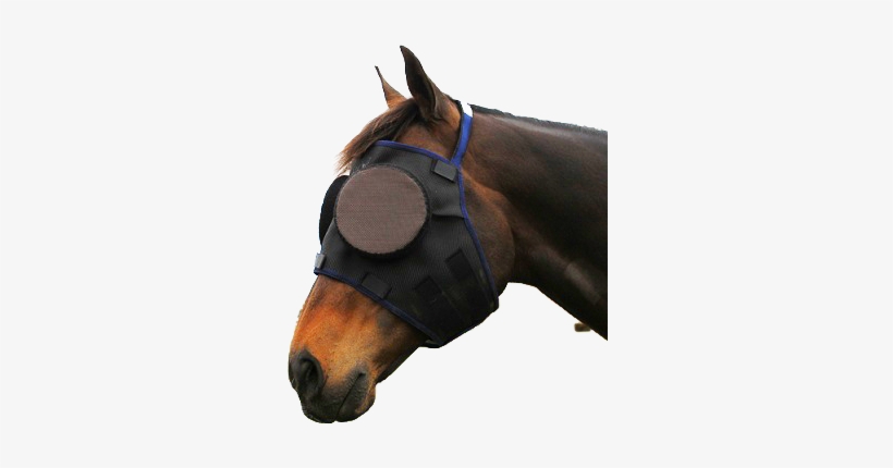 Guardian Fly Mask, transparent png download