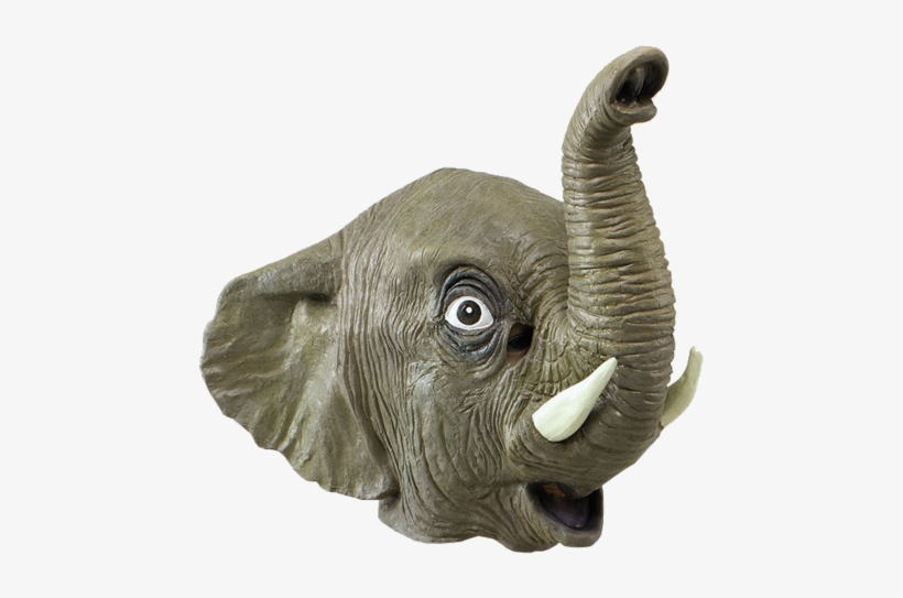 Latex Animal Mask - Transparent Animal Mask Png, transparent png download