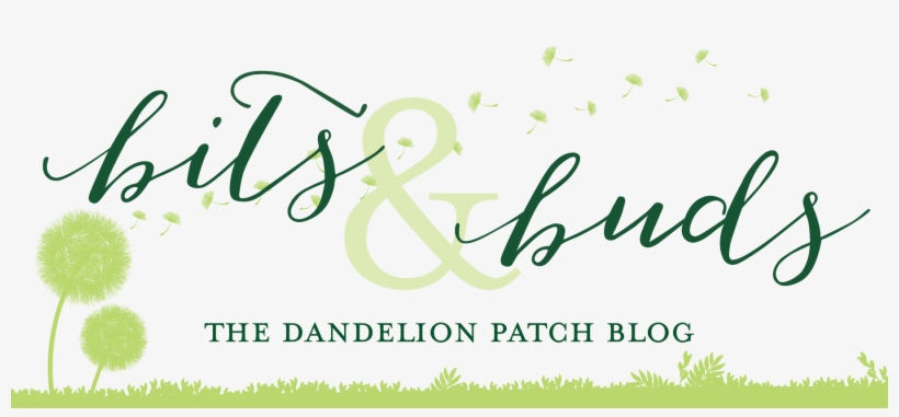 Bits And Buds - Blog, transparent png download