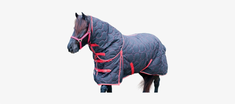 Epic Classic Stable Rugs - Stable, transparent png download