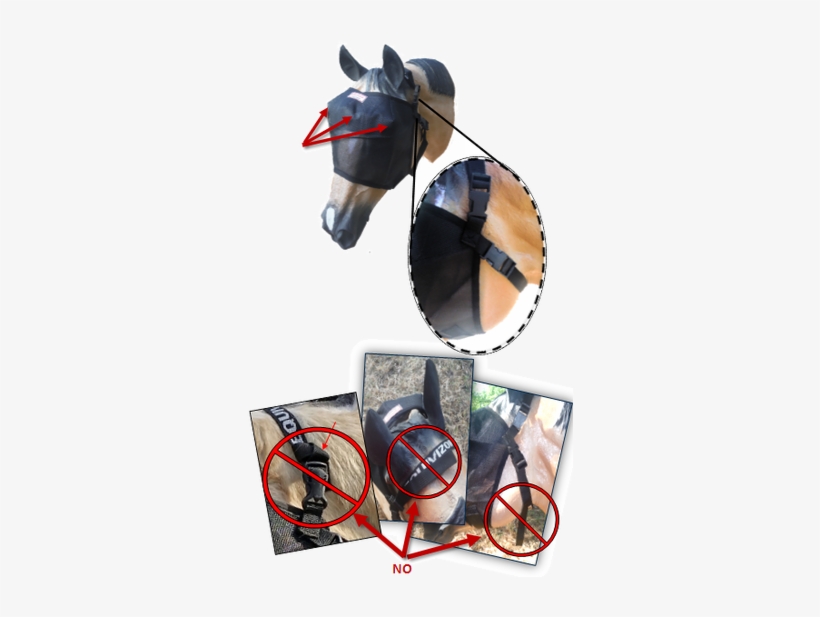 If The Female End Breaks, The New Female End Will Need - Stallion, transparent png download