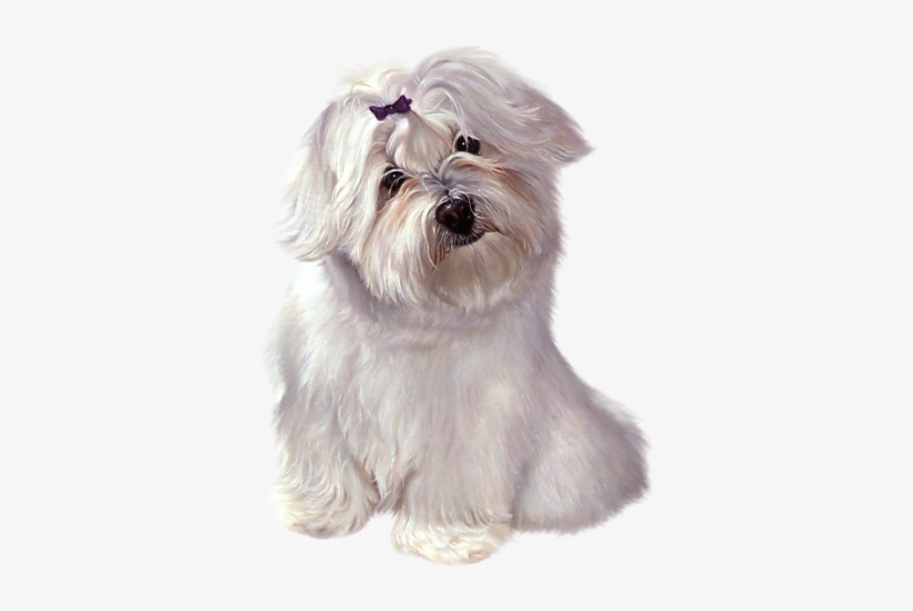 White Cute Puppy With Ribbon Clipart - Cute Gifs Of Clipart Puppies, transparent png download
