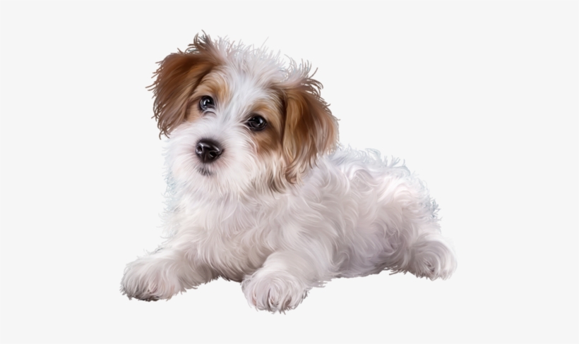 Cute Clipartpuppy - Dog, transparent png download