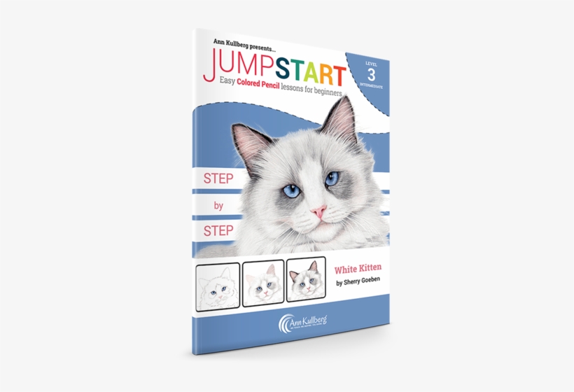 Jumpstart Level - Annkullberg.com, transparent png download