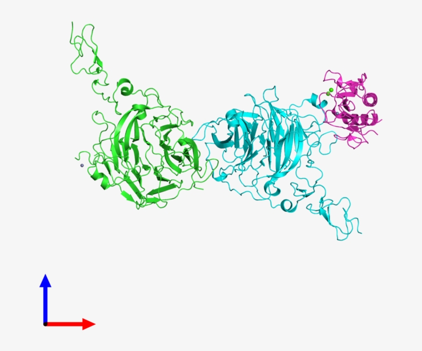 Ribbon Structure Of 3ho5 - Protein, transparent png download