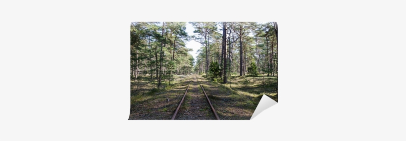 Track, transparent png download