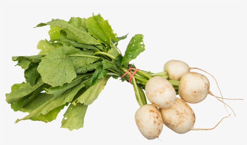 Turnips Png Image - Turnips Png, transparent png download