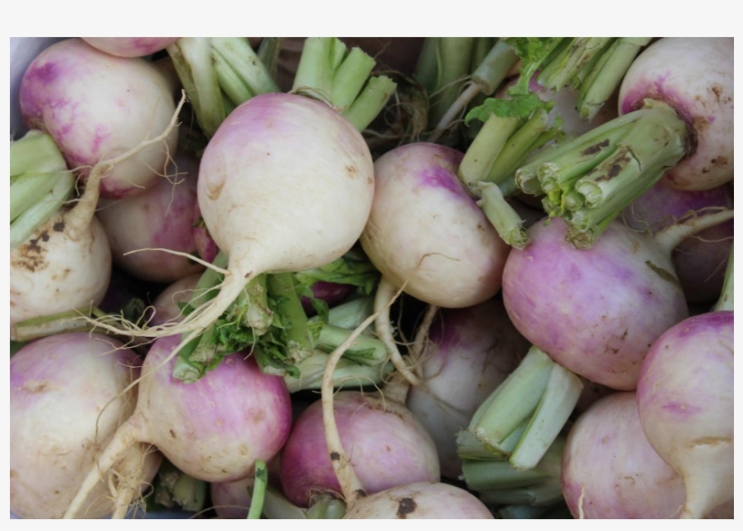 File - Turnip - Jpeg, transparent png download