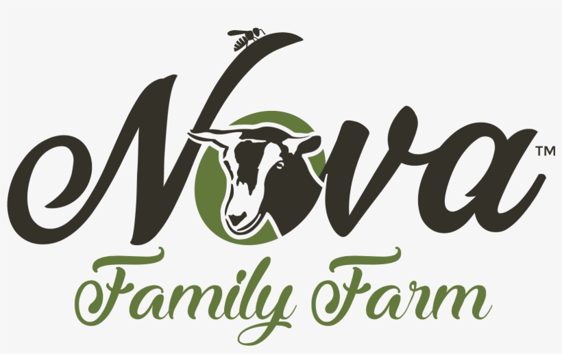 Harley Quinn - Calligraphy, transparent png download