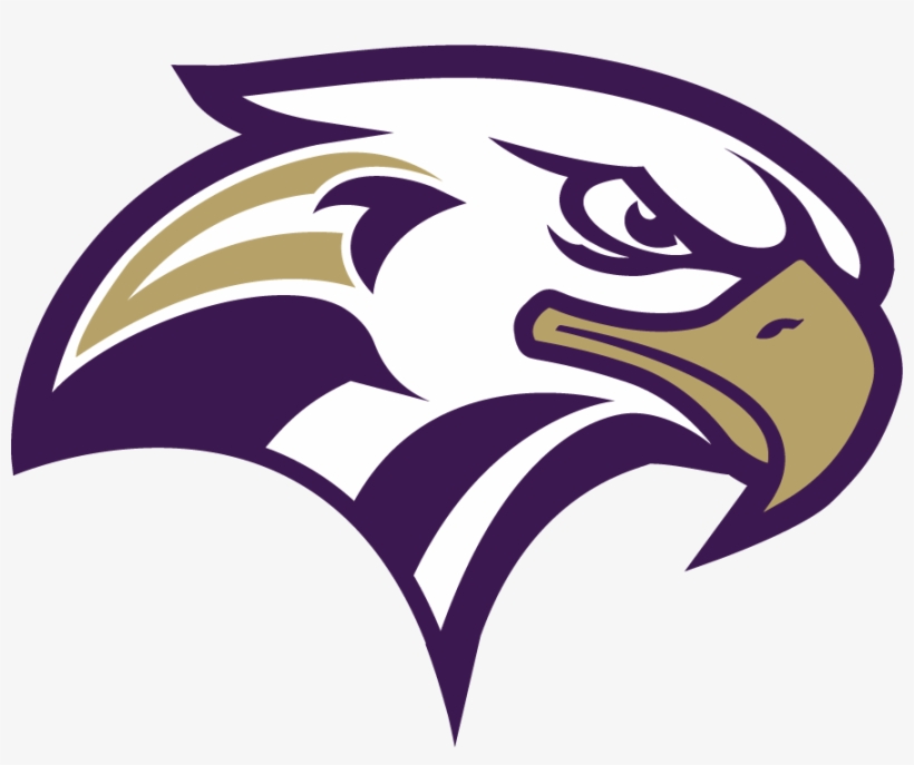 Jpg Black And White Library Connell Eyepdf Png Adobe - Eagle Illustration Png, transparent png download