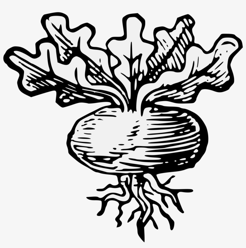 Details, Png - Turnip, transparent png download