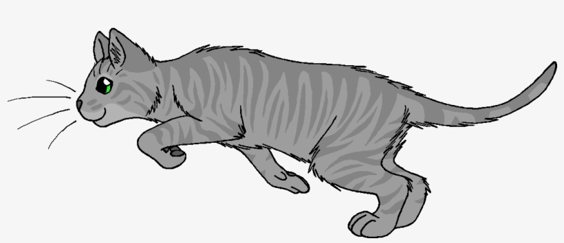 Greeneyes - Wildpathofshadowclan Thunderclan, transparent png download