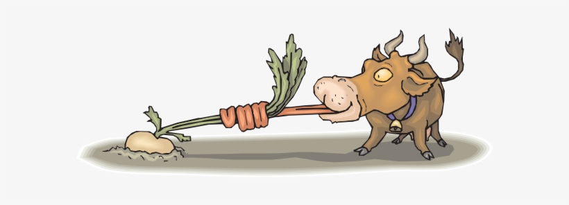 Eating Turnip, transparent png download