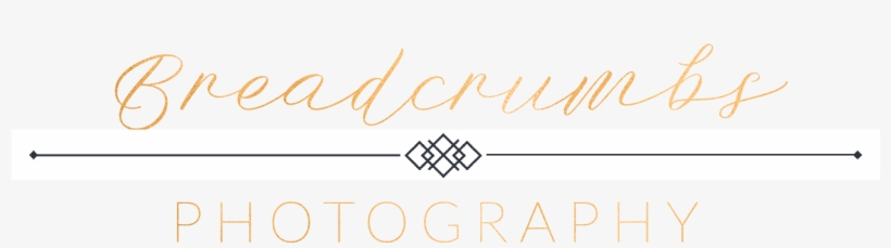 Cropped Bp Logo 3 03 U2013 Breadcrumbs Photography - Photography, transparent png download