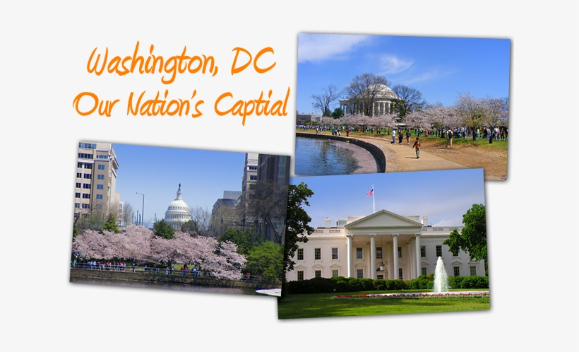 Bus Trips - Ignorance Of Power: Metamorphisis In American Government, transparent png download