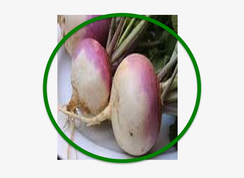 Ding Ding Ding - Turnip, transparent png download