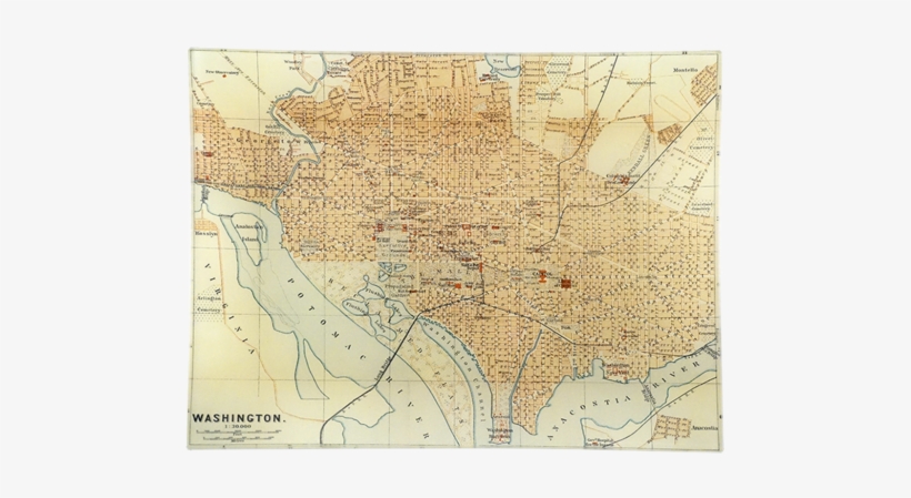 Washington D - Washington, D.c., transparent png download