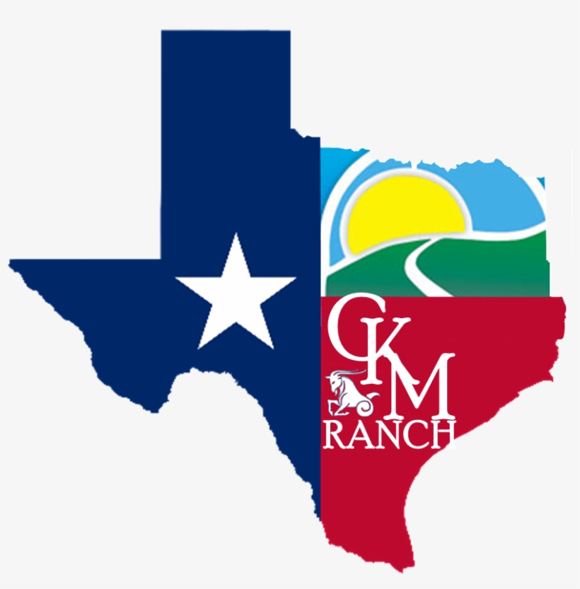 Texas Is Great, transparent png download