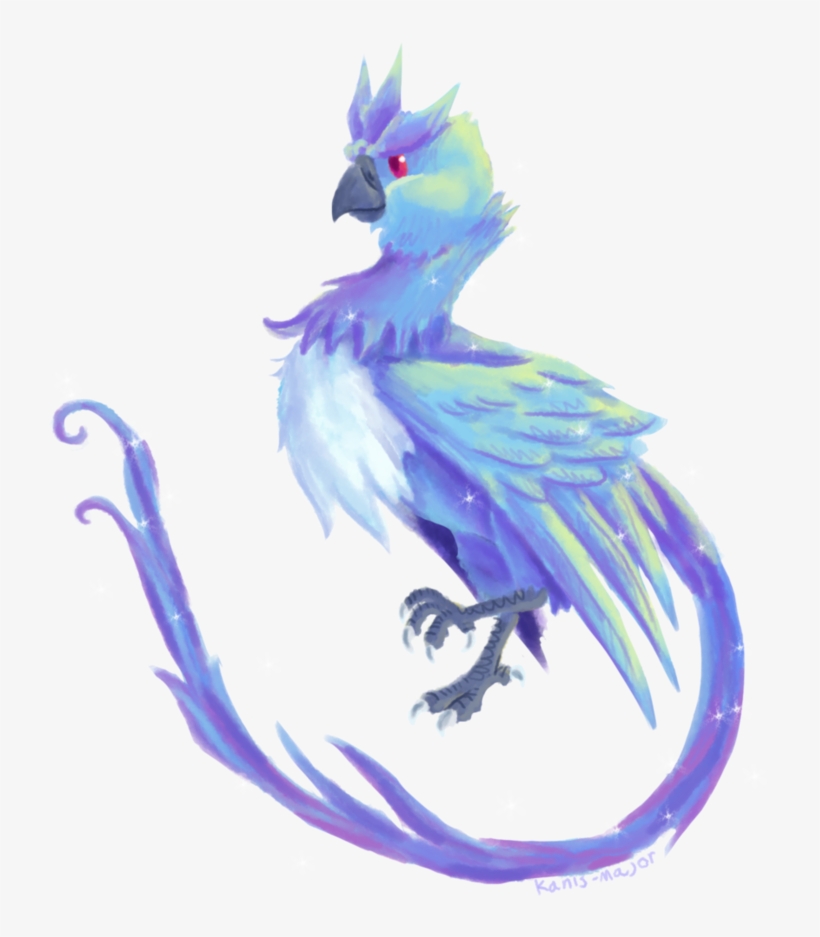 890 X 898 4 - Steller S Jay, transparent png download