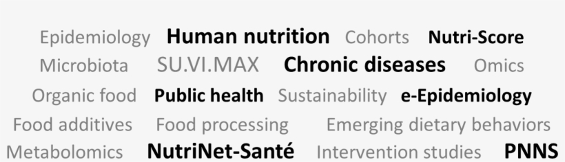 Tags En - Calligraphy, transparent png download