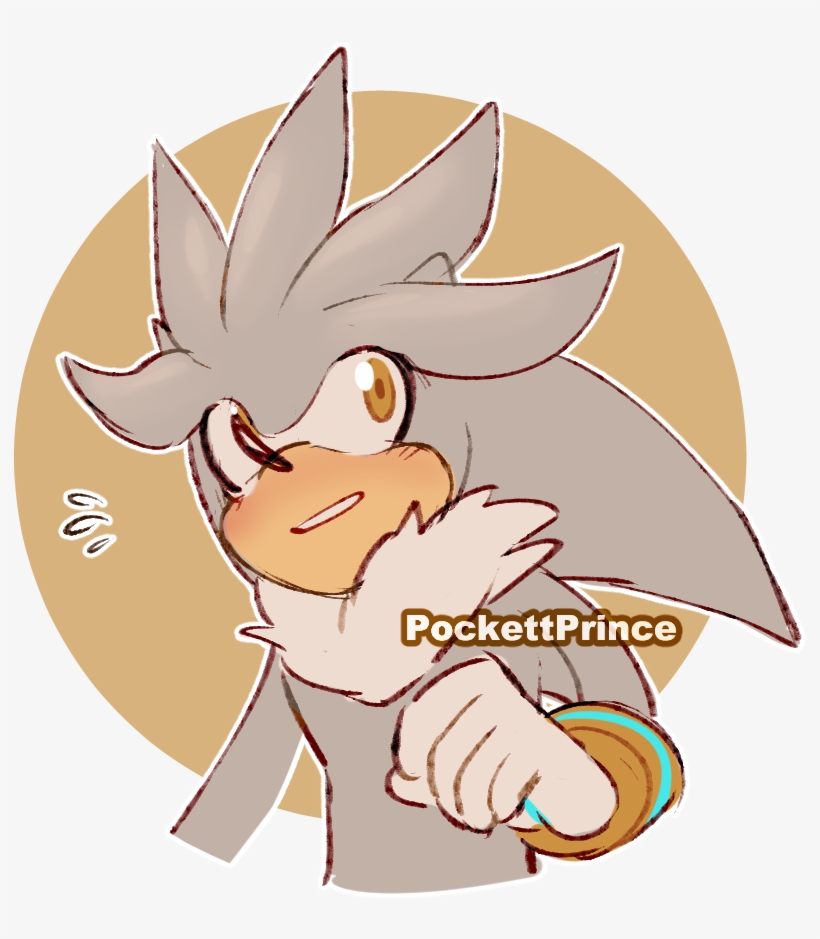 In This House We Love Silver The Hedgehog - Cartoon, transparent png download
