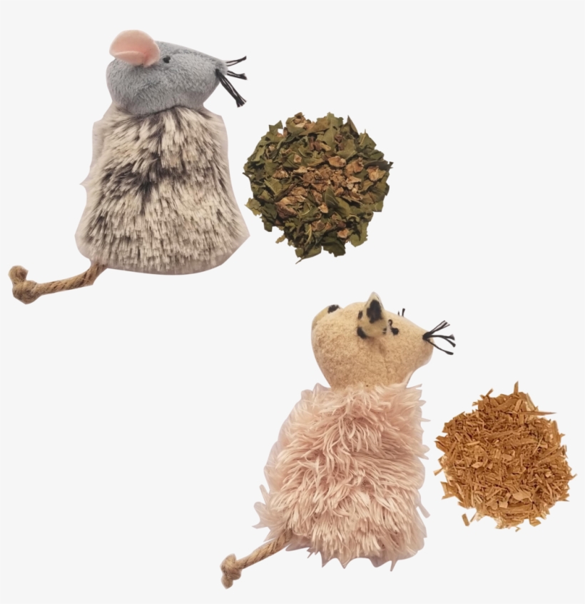 Honeysuckle Silver Vine Sample Pack - Catnip, transparent png download