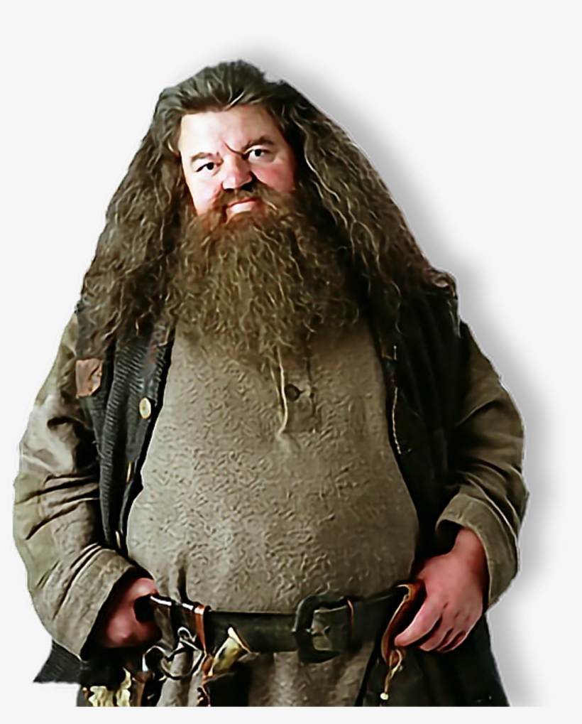Rubeus Hagrid Rubeushagrid Gigante Giant Hogwarts Raven, transparent png download