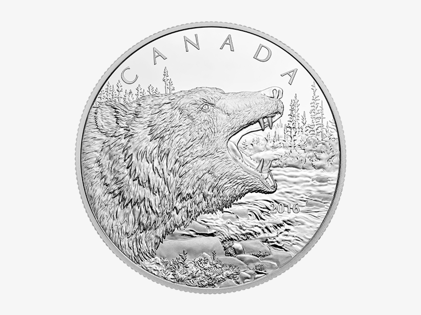 2016 1/2 Kilogram Fine Silver Coin Roaring Grizzly - Coin, transparent png download