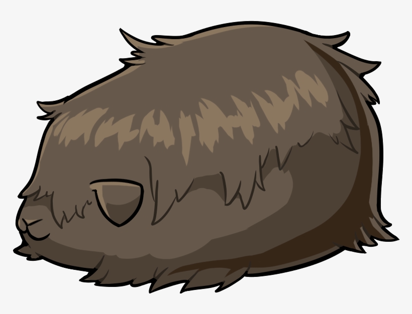 Guinea Pig - Porcupine, transparent png download