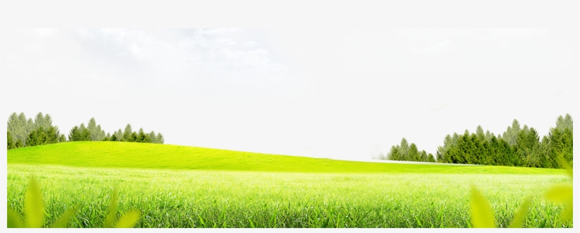 Meadow Png High-quality Image - Meadow Transparent Background, transparent png download