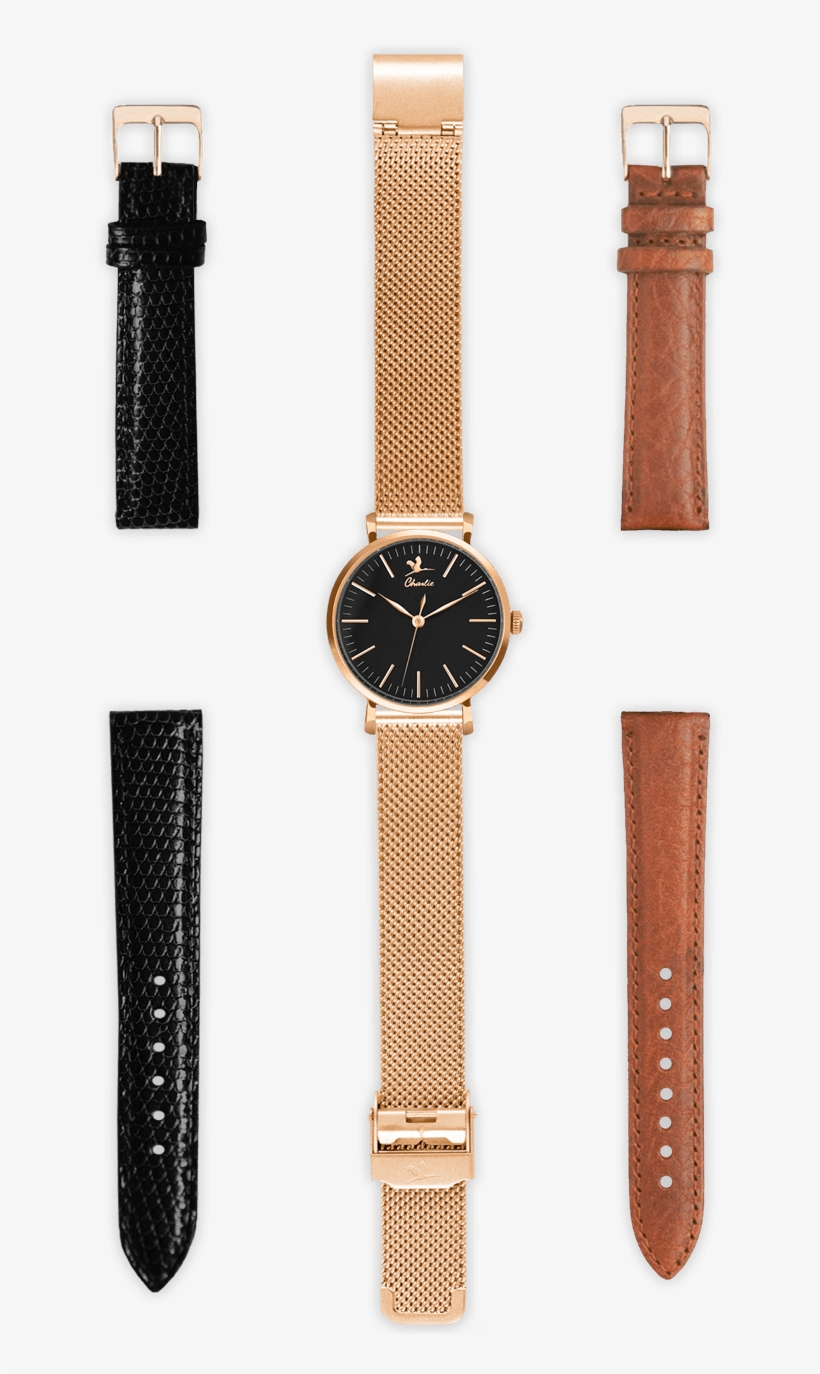 The Sully Gold Rose/black Box - Analog Watch, transparent png download