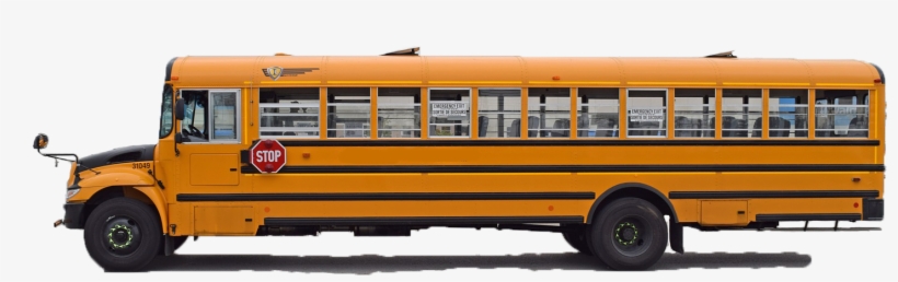 School Bus, transparent png download