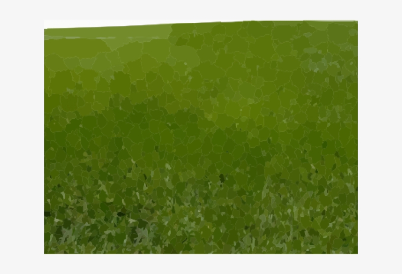 Grass, transparent png download